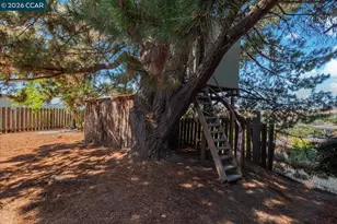 4848 Venner Rd, Martinez, CA 94553 - Photo 59