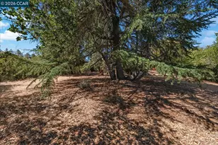 4848 Venner Rd, Martinez, CA 94553 - Photo 53