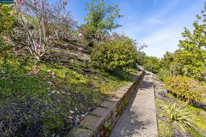 1536 Serafix Rd, Alamo, CA 94507 - Photo 45