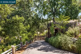 925 Beech Dr, Walnut Creek, CA 94596 - Photo 39
