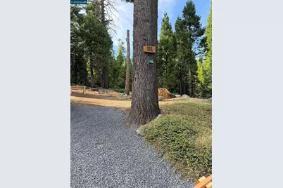 91 Segale Dr, Camp Connell, CA 95223 - Photo 15