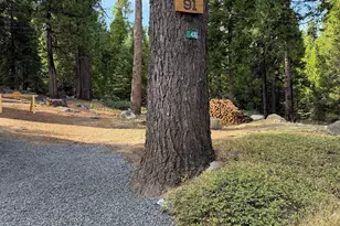 91 Segale Dr, Camp Connell, CA 95223 - Photo 15