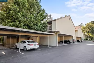 1251 Homestead Ave, Walnut Creek, CA 94598 - Photo 11