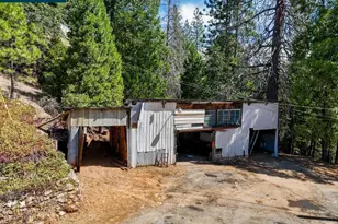 3501 Braden Rd, Camino, CA 95709 - Photo 9