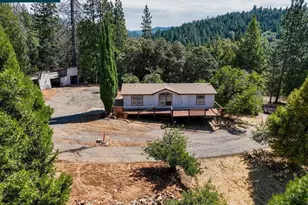 3501 Braden Rd, Camino, CA 95709 - Photo 3