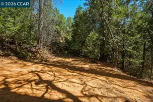 3501 Braden Rd, Camino, CA 95709 - Photo 45