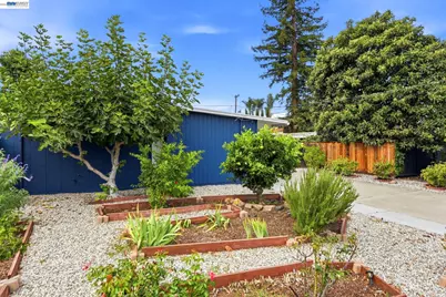 801 Richmond Ave, San Jose, CA 95128 - Photo 5