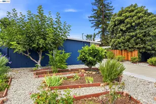 801 Richmond Ave, San Jose, CA 95128 - Photo 5
