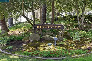 509 Ridgeview Ct, Pleasant Hill, CA 94523 - Photo 27