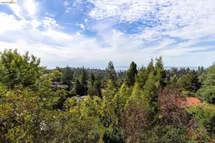 1999 Gaspar Dr, Oakland, CA 94611 - Photo 53