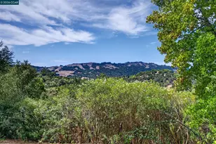 65 Bates Blvd, Orinda, CA 94563 - Photo 49