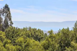 3353 Burdeck Dr, Oakland, CA 94602 - Photo 59