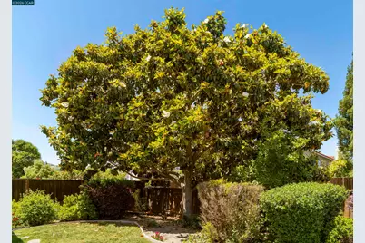 3237 Vera Cruz Dr, San Ramon, CA 94583 - Photo 53