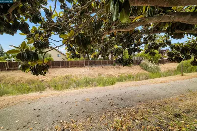 3237 Vera Cruz Dr, San Ramon, CA 94583 - Photo 41