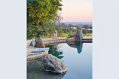 10580 Dickson Road, Plymouth, CA 95669 - Photo 45