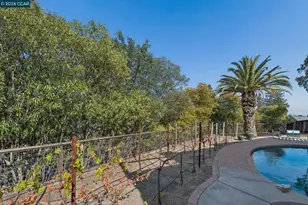 61 St Thomas Ln, Pleasant Hill, CA 94523 - Photo 45
