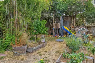 6502 Dana St, Oakland, CA 94609 - Photo 33