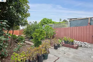 164 Miriam St, Daly City, CA 94014 - Photo 69
