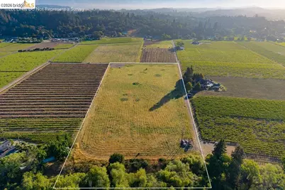 838 Dry Creek, Healdsburg, CA 95448 - Photo 9