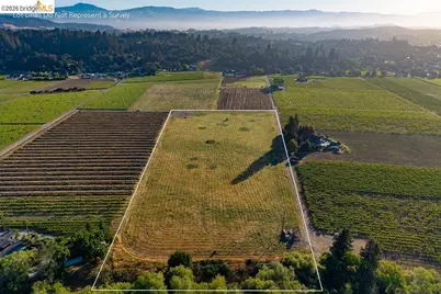 838 Dry Creek, Healdsburg, CA 95448 - Photo 11