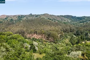 281 Los Altos Dr, Kensington, CA 94708 - Photo 49