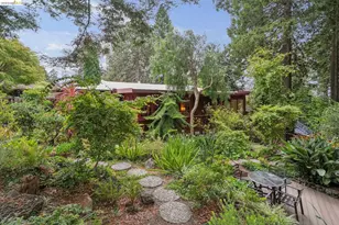 19 Sunset Dr, Kensington, CA 94707 - Photo 67