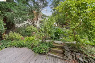 19 Sunset Dr, Kensington, CA 94707 - Photo 73
