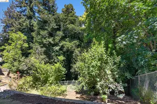 6138 Oakdale, Oakland, CA 94605 - Photo 9