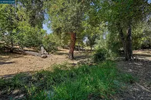 1927 Terrace Dr, Antioch, CA 94509 - Photo 49