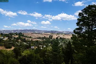 83 Donald Dr, Orinda, CA 94563 - Photo 41
