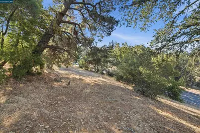 0 Hamlin Rd, Lafayette, CA 94549 - Photo 9