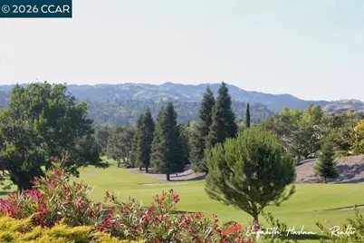 3288 Terra Granada Dr #3A, Walnut Creek, CA 94595 - Photo 47