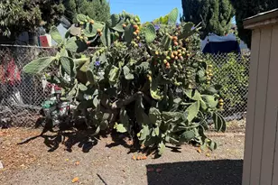 2111 100th Ave, Oakland, CA 94603 - Photo 21