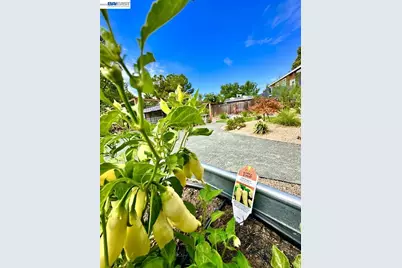 1992 Heaton Circle, Concord, CA 94520 - Photo 41