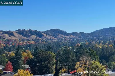 2500 Ptarmigan Dr #4, Walnut Creek, CA 94595 - Photo 39