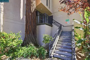 155 Sharene Ln, Walnut Creek, CA 94596 - Photo 29