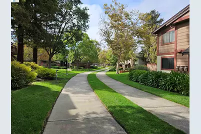 247 Warren Cmn, Fremont, CA 94539 - Photo 1