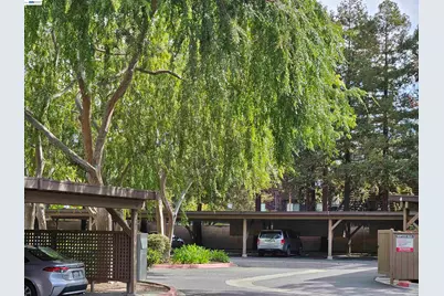 247 Warren Cmn, Fremont, CA 94539 - Photo 19