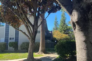 9085 Alcosta Blvd, San Ramon, CA 94583 - Photo 27