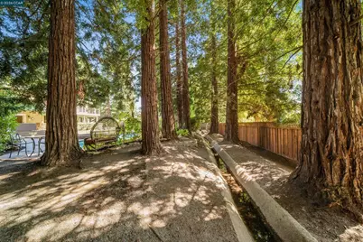210 Still Creek Road, Danville, CA 94506 - Photo 41