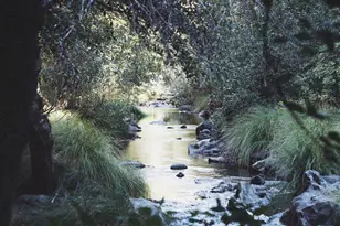 2883 Railroad Flat Rd, Wilseyville, CA 95257 - Photo 9