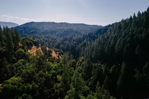 2883 Railroad Flat Rd, Wilseyville, CA 95257 - Photo 27