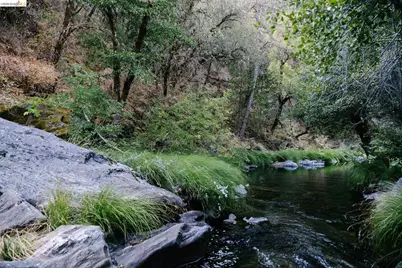 2883 Railroad Flat Rd, Wilseyville, CA 95257 - Photo 15