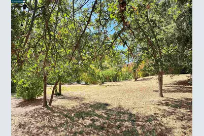 1591 Green Valley Rd, Danville, CA 94526 - Photo 17