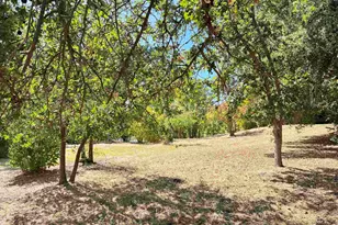 1591 Green Valley Rd, Danville, CA 94526 - Photo 17