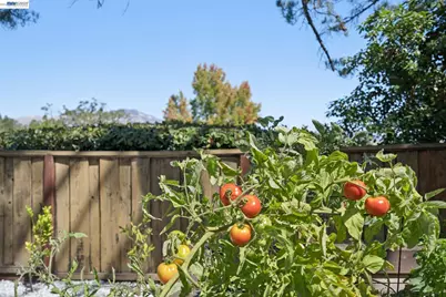 222 Remington Loop, Danville, CA 94526 - Photo 57