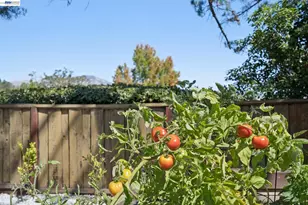 222 Remington Loop, Danville, CA 94526 - Photo 57