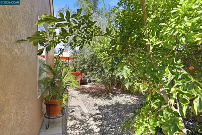 25 Sparrow Hawk Ct., Oakley, CA 94561 - Photo 33