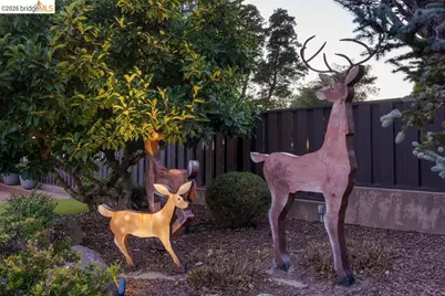 8765 Terrace Drive, El Cerrito, CA 94530 - Photo 71