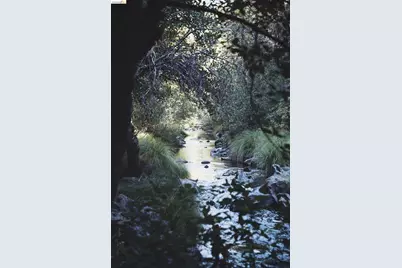2883 Railroad Flat Rd, Wilseyville, CA 95257 - Photo 21